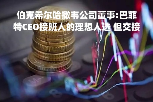 伯克希尔哈撒韦公司董事:巴菲特CEO接班人的理想人选 但交接并非迫在眉睫