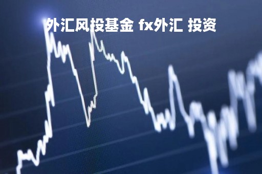 外汇风投基金 fx外汇 投资
