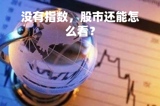 没有指数，股市还能怎么看？