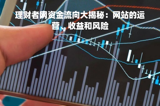 理财者网资金流向大揭秘：网站的运营、收益和风险