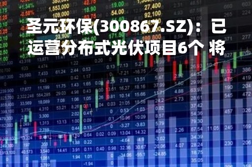 圣元环保(300867.SZ)：已运营分布式光伏项目6个 将拓展集中式光伏项目