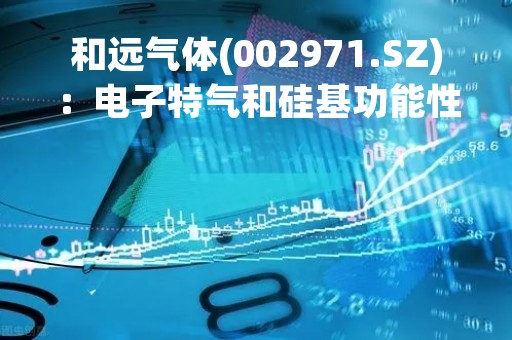 和远气体(002971.SZ)：电子特气和硅基功能性材料目前有一些意向性客户