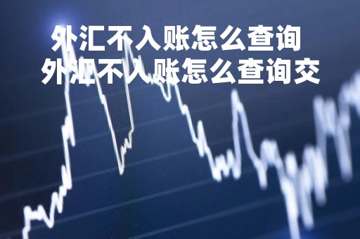 外汇不入账怎么查询 外汇不入账怎么查询交易记录
