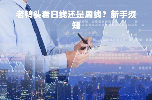 老鸭头看日线还是周线？新手须知