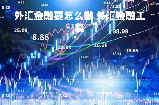 外汇金融要怎么做 外汇金融工具