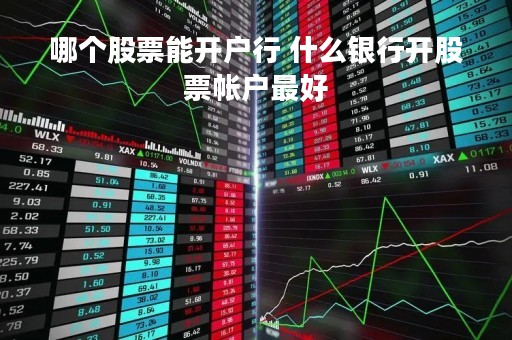 哪个股票能开户行 什么银行开股票帐户最好