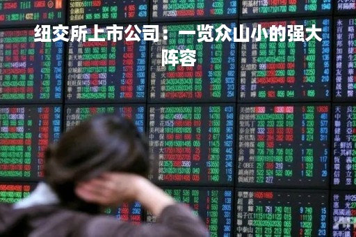 纽交所上市公司：一览众山小的强大阵容