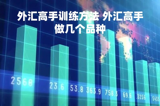 外汇高手训练方法 外汇高手做几个品种