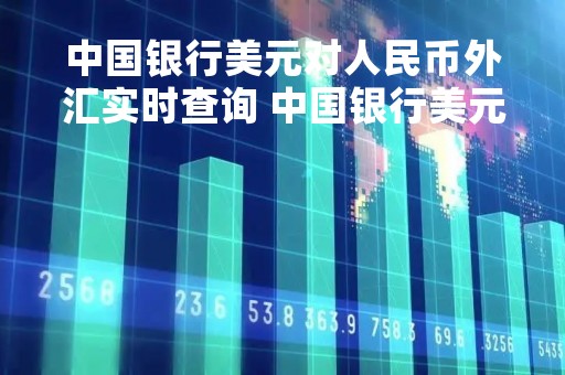 中国银行美元对人民币外汇实时查询 中国银行美元对人民币外汇牌价