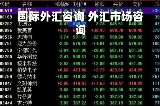 国际外汇咨询 外汇市场咨询