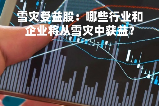 雪灾受益股：哪些行业和企业将从雪灾中获益？