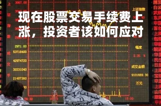 现在股票交易手续费上涨，投资者该如何应对？