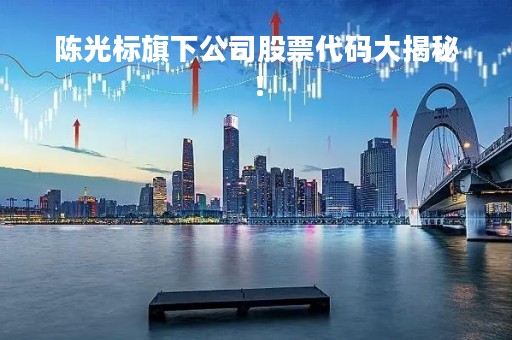 陈光标旗下公司股票代码大揭秘！