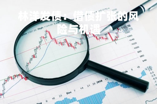 林洋发债：借债扩张的风险与机遇