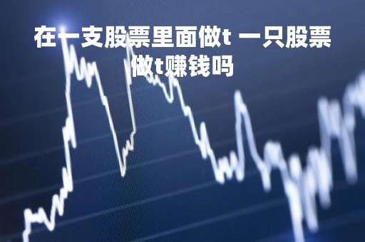 在一支股票里面做t 一只股票做t赚钱吗