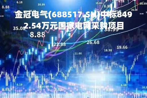 金冠电气(688517.SH)中标8492.54万元国家电网采购项目