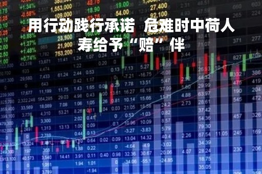 用行动践行承诺  危难时中荷人寿给予“赔”伴