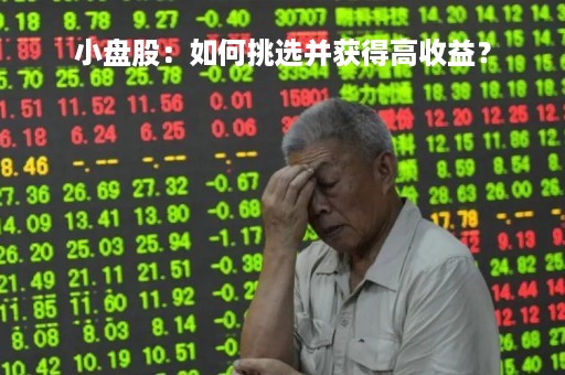 小盘股：如何挑选并获得高收益？