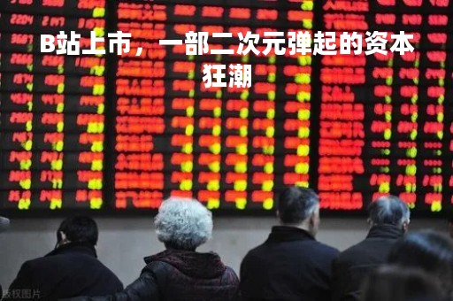 B站上市，一部二次元弹起的资本狂潮