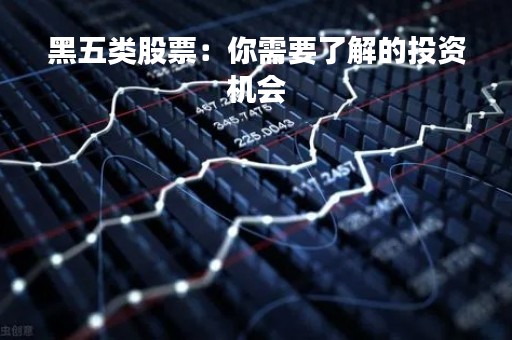 黑五类股票：你需要了解的投资机会