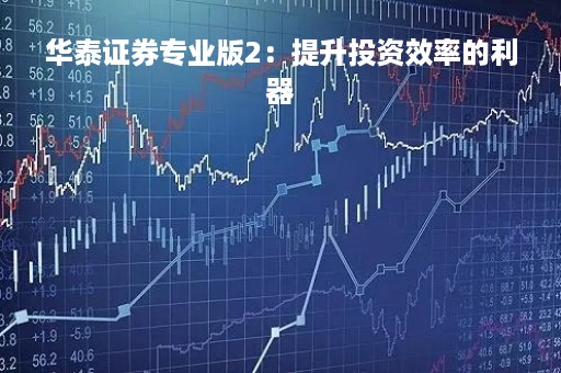 华泰证券专业版2：提升投资效率的利器