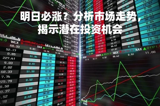 明日必涨？分析市场走势，揭示潜在投资机会