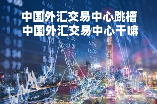中国外汇交易中心跳槽 中国外汇交易中心干嘛