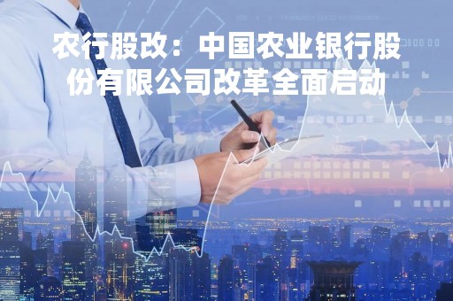 农行股改：中国农业银行股份有限公司改革全面启动