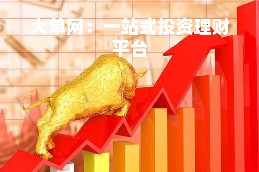 大单网：一站式投资理财平台