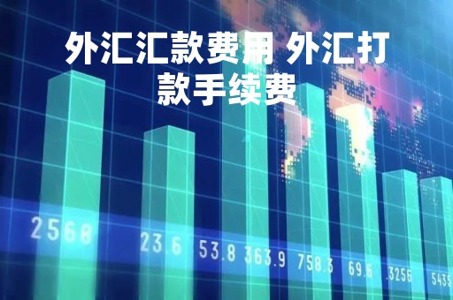 外汇汇款费用 外汇打款手续费