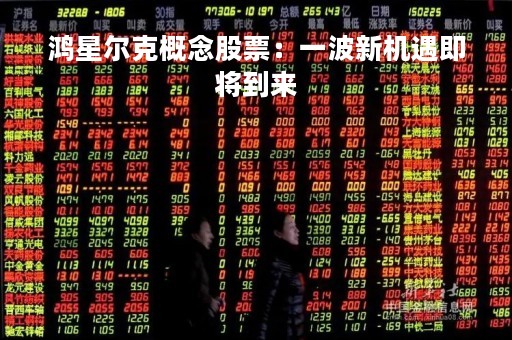 鸿星尔克概念股票：一波新机遇即将到来