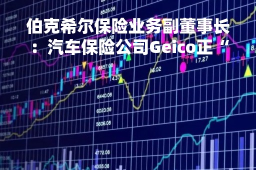 伯克希尔保险业务副董事长：汽车保险公司Geico正“迎难而上”