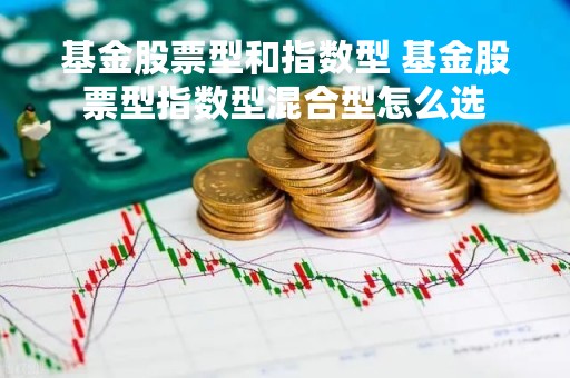 基金股票型和指数型 基金股票型指数型混合型怎么选