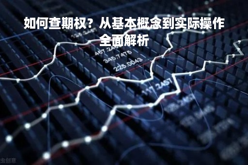 如何查期权？从基本概念到实际操作全面解析