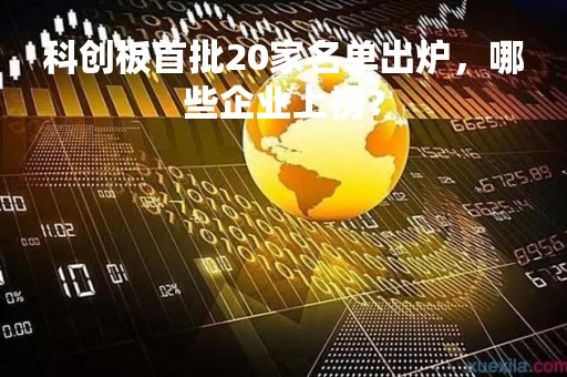 科创板首批20家名单出炉，哪些企业上榜？