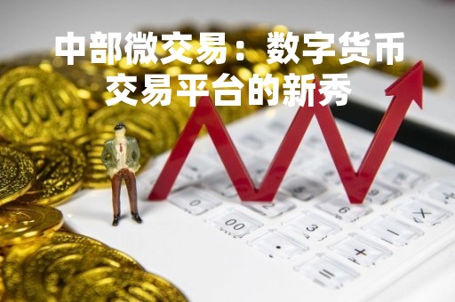 中部微交易：数字货币交易平台的新秀