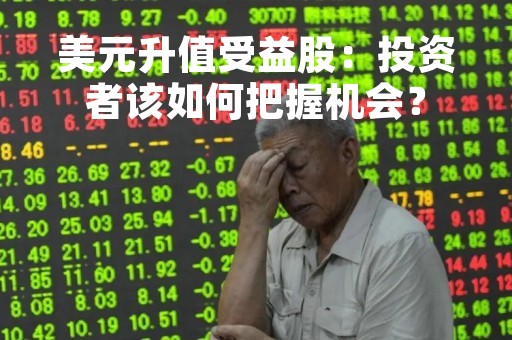 美元升值受益股：投资者该如何把握机会？