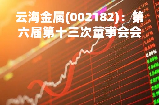云海金属(002182)：第六届第十三次董事会会议决议，审议11项议案获通过