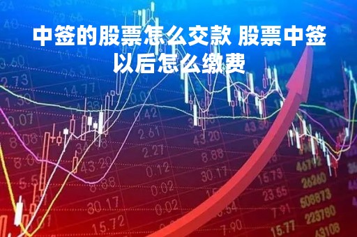 中签的股票怎么交款 股票中签以后怎么缴费