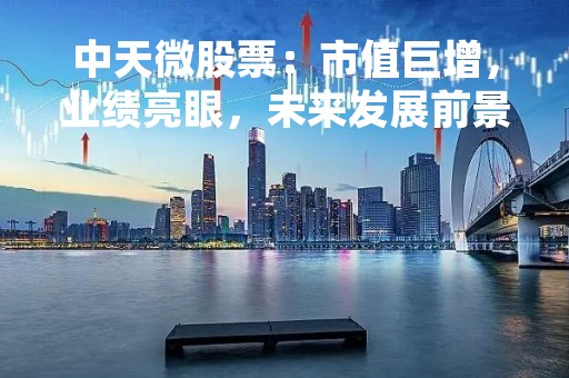 中天微股票：市值巨增，业绩亮眼，未来发展前景可观