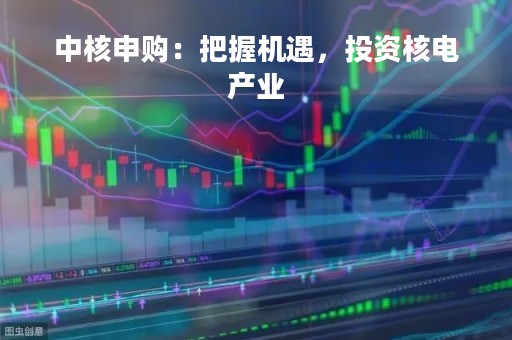 中核申购：把握机遇，投资核电产业