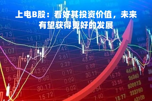 上电B股：看好其投资价值，未来有望获得更好的发展
