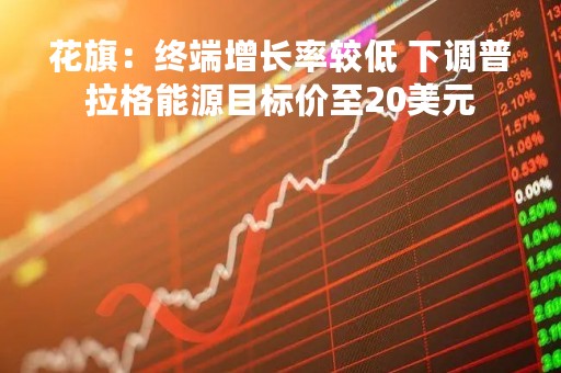 花旗：终端增长率较低 下调普拉格能源目标价至20美元