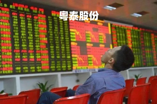 粤泰股份