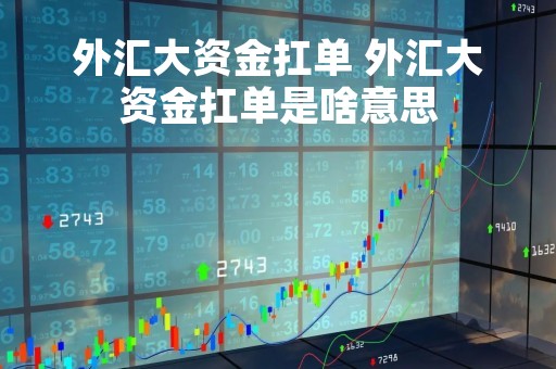 外汇大资金扛单 外汇大资金扛单是啥意思