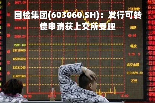 国检集团(603060.SH)：发行可转债申请获上交所受理