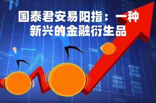 国泰君安易阳指：一种新兴的金融衍生品