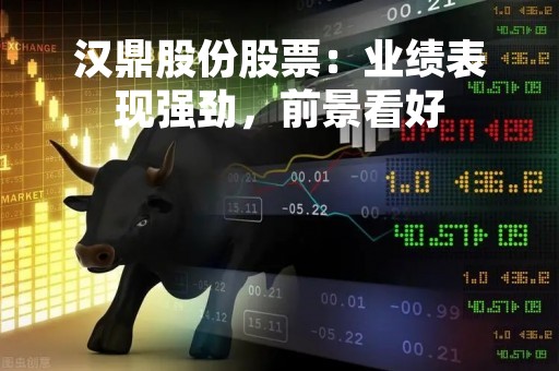 汉鼎股份股票：业绩表现强劲，前景看好