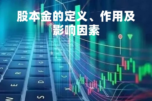 股本金的定义、作用及影响因素