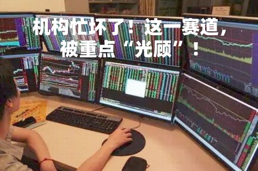 机构忙坏了！这一赛道，被重点“光顾”！